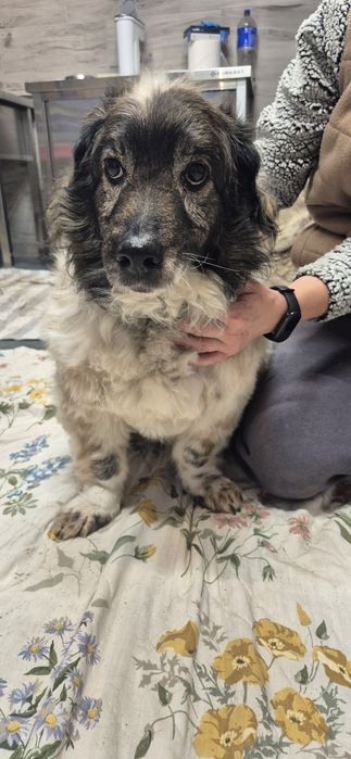 Piasek około osiem lat