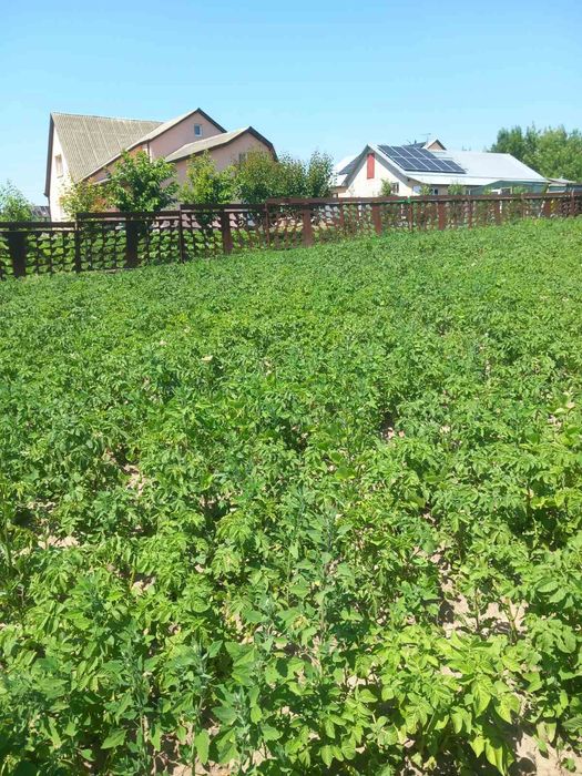 Продам земельну ділянку