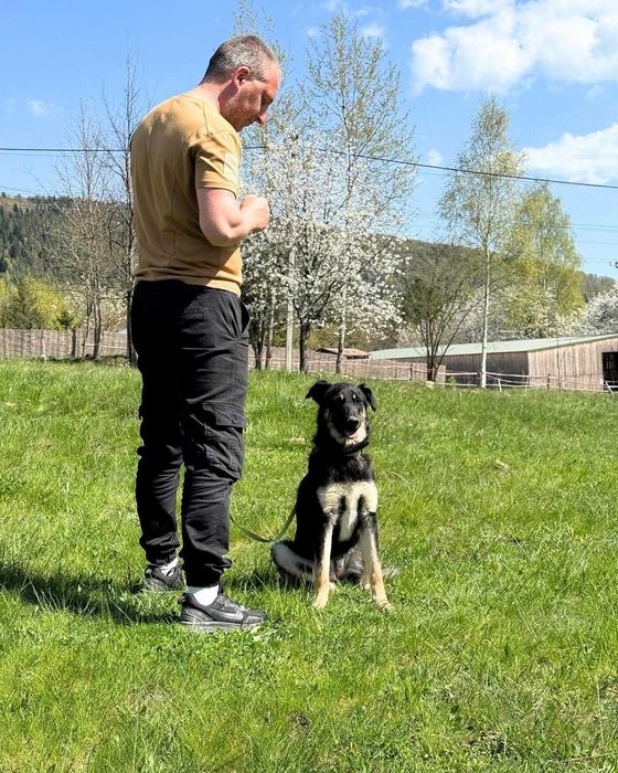 Хлоя (дівчинка) шукає дім!