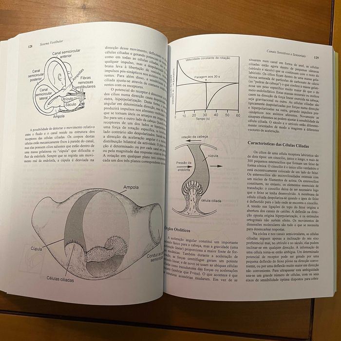 William A. Mackay - Neurofisiologia Sem Lágrimas