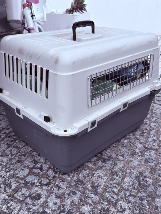 Caixa transporte de animal