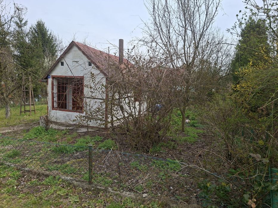 Działka rekreacyjna ROD 40lecie Legnica