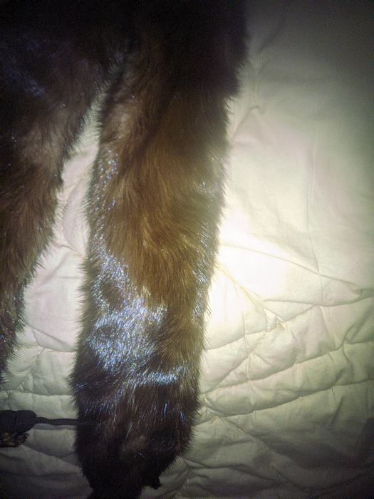 Воротник, либо пояс, с застежкой