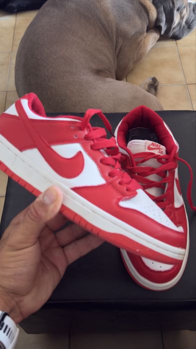 Nike SB Dunk Low Pro