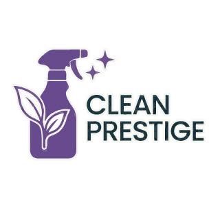 Professional Cleaning Service