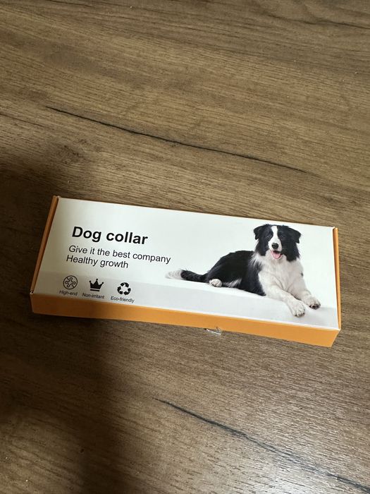 Нашийник і бабочка для собак