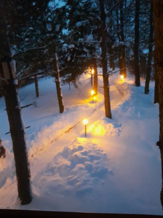 Domek do wynajęcia Zakopane ( Ząb )