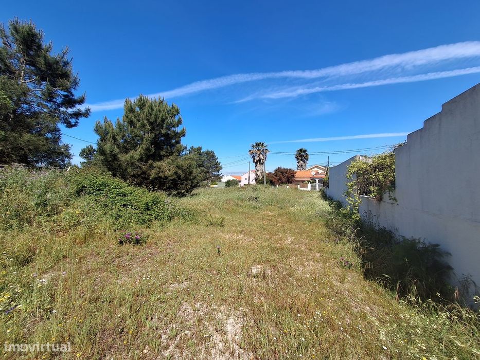Terreno Urbano, Marisol