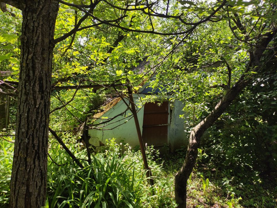 Будинок хата в с.Куражин, біля Дністра,велика земельна ділянка