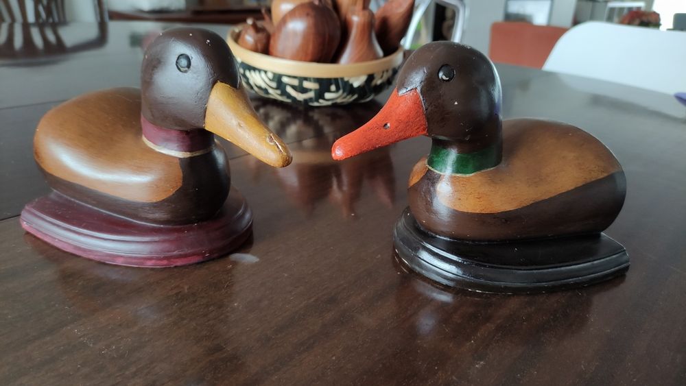 Suporte Livros Patos
