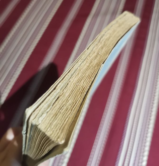Livro O Muro da Vergonha