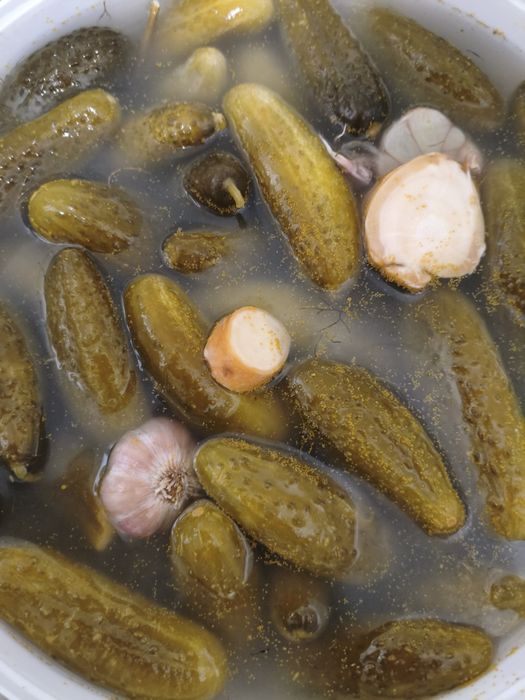 Ogórki kiszone bez konserwantów