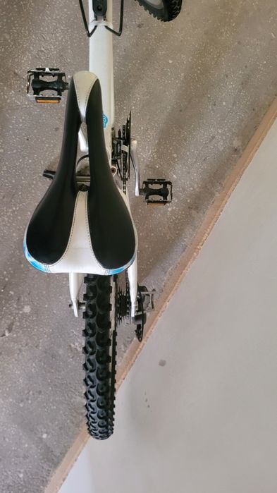 Rower giant 24''