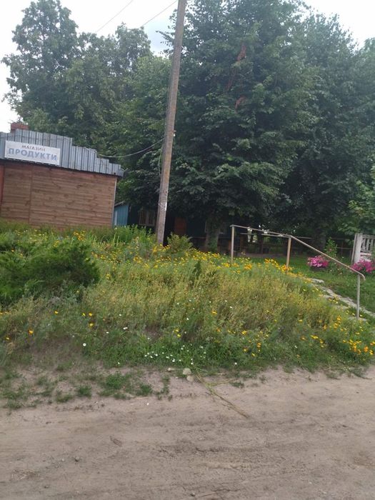 Продається діючий магазин в с. Райки з товаром (торг)