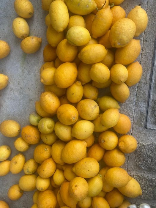 Limoes caseiros