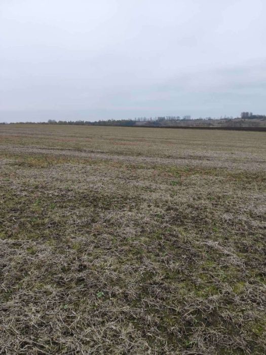 Продаж земельної ділянки, с.Глуховичі, 10 сот.,БЕЗ КОМІСІЇ ДЛЯ ПОКУПЦЯ