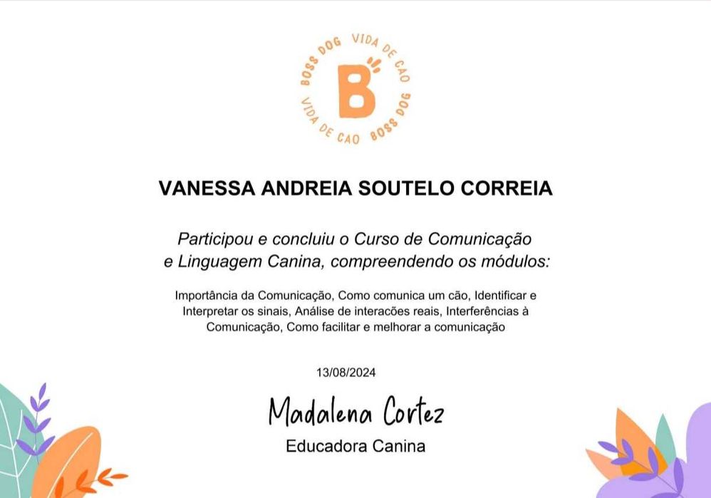 Petsitting/ estadia familiar/ treino canino