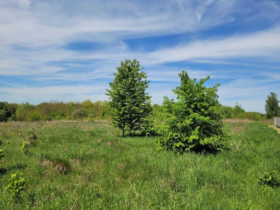 Земельна ділянка в с.Колодіївці. вул.Л.Українки. 25 сот.