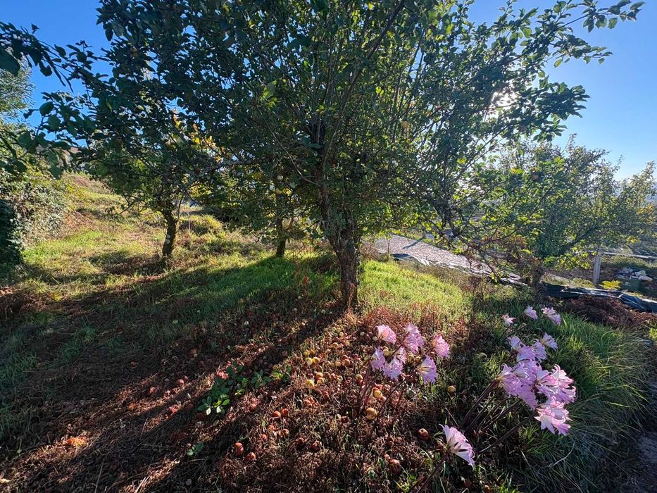 Moradia T2 à venda em Cerdal, Valença — foto 3