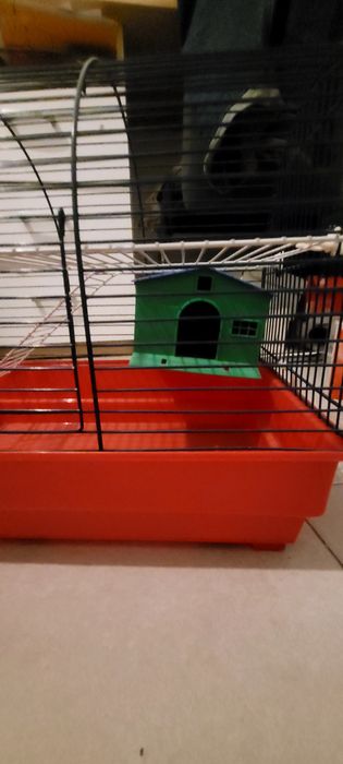 Gaiola para roedor