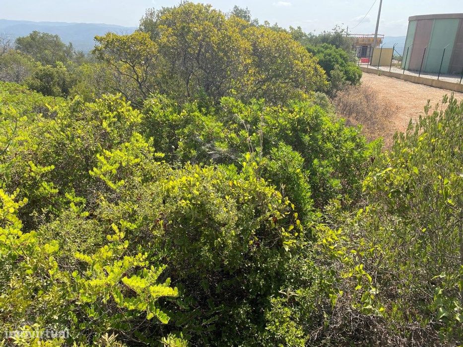 Lote de Terreno Rústico no Serro dos Passarinhos, Loulé, Algarve