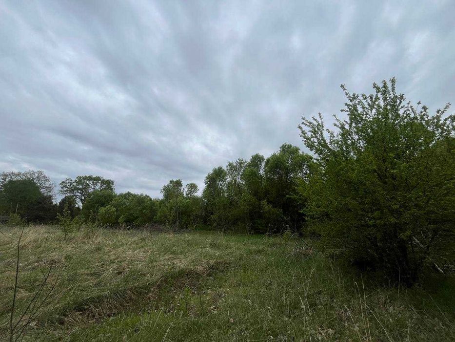 Продаж земельної ділянки в с. Бірки — 27 соток біля лісу