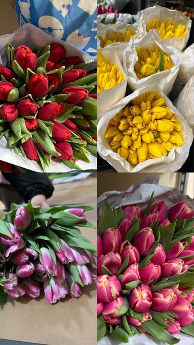 Тюльпаны оптом опт пачками цветы Одесса