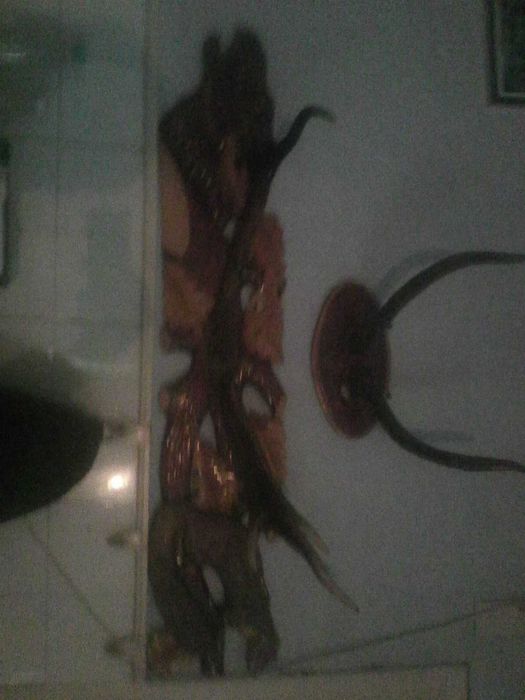 Роги Карпатського оленя (вішак)