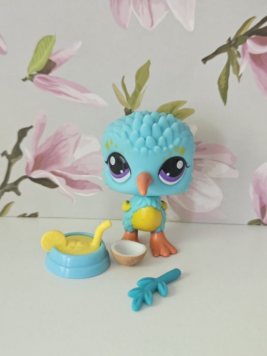 Kiwi z akcesoriami