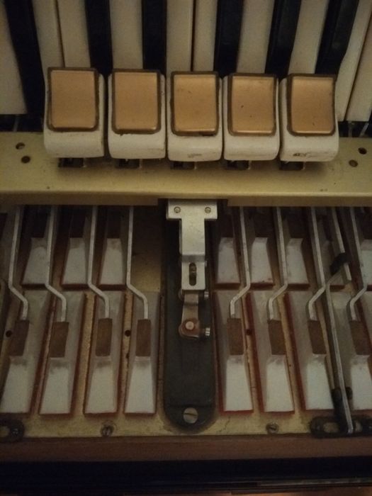 Аккордеон Firotti 34х80