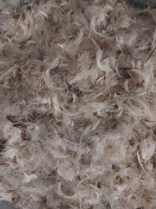 Пух перо гусиное на вес