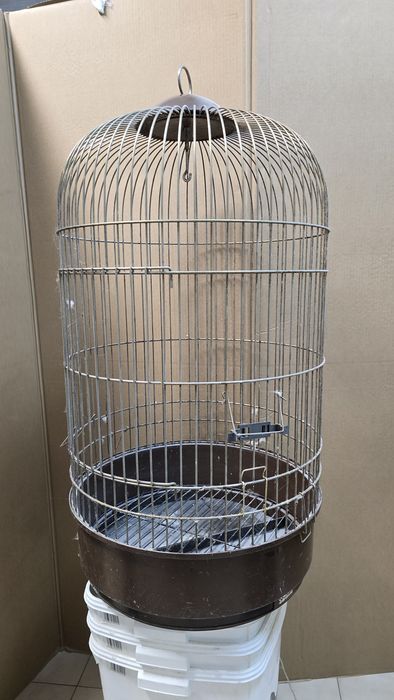 Gaiola de papagaio usada