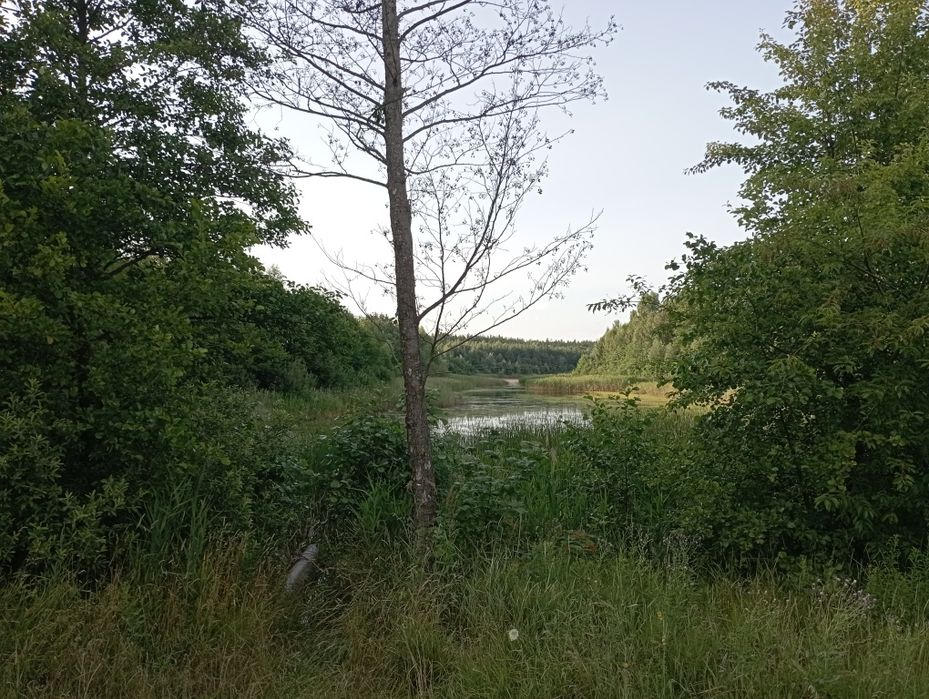 Продам земельну ділянку в с. Стрижівка