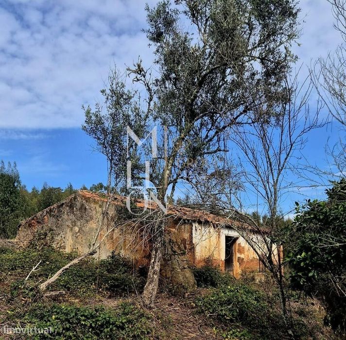 Quintinha em S. Teotónio com ruina para recuperar