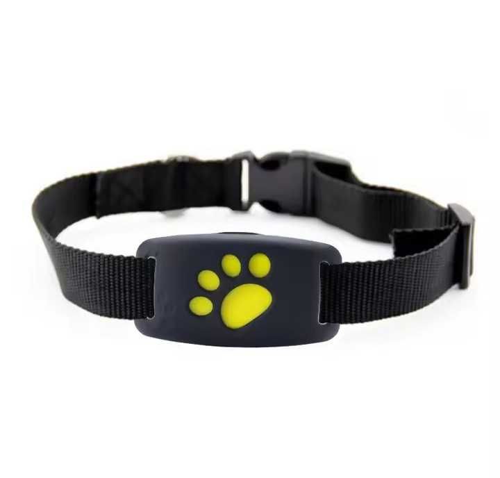 Coleira GPS para cão