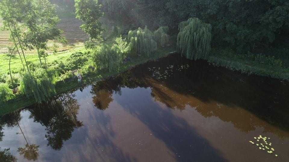 Zdjęcie 6