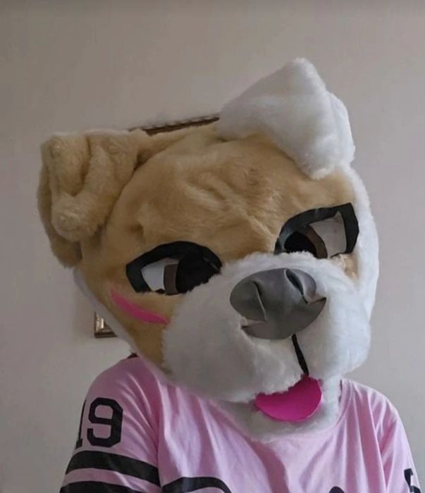 Furry Fursuit Pies OPIS!