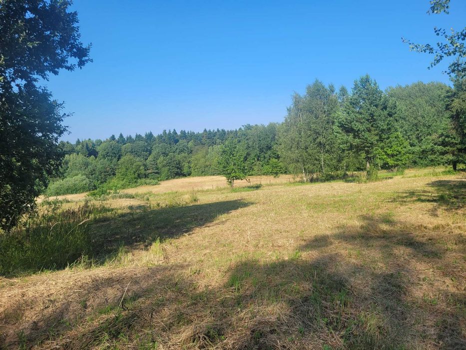 Działka 1,0321 ha z warunkami zabudowy – Natura 2000 - Widok 4