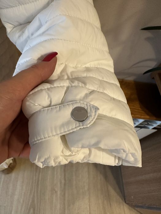 Kurteczka firmy Amisu