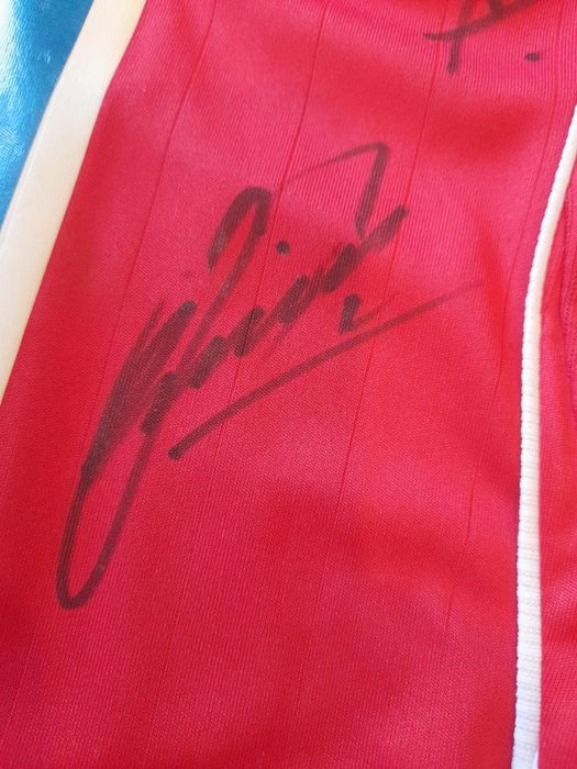Camisola oficial do Benfica, epoca2006/7, autografada por Luisão, Nuno Gomes, Léo, Quim, katsouranis, Simão Sabrosa, etc.