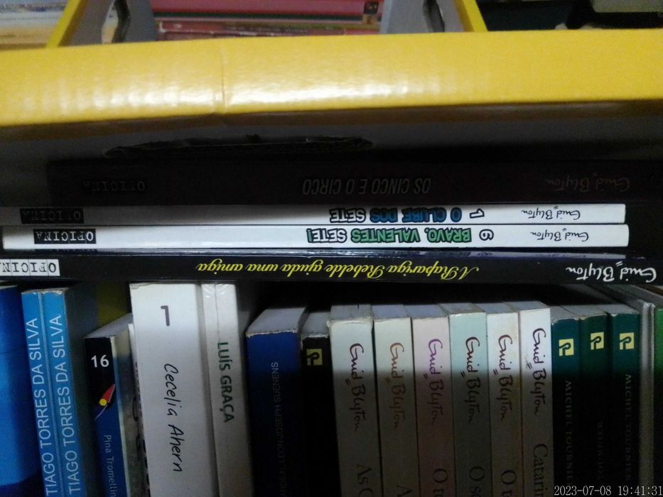 LOTE 74 + 75 - LIVROS Diversos - Vendidos EM SEPARADO - Preços Vários