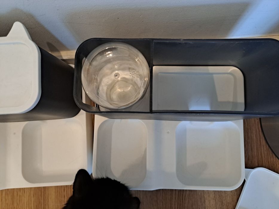 Comedor e bebedor de gravidade para gatos