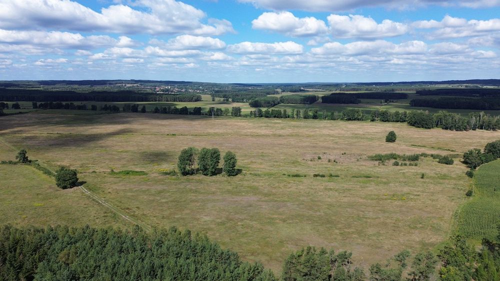 sprzedam grunty rolne