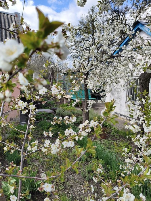 Шашлик Барбекю Отдых Відпочинок Беседка Альтанка