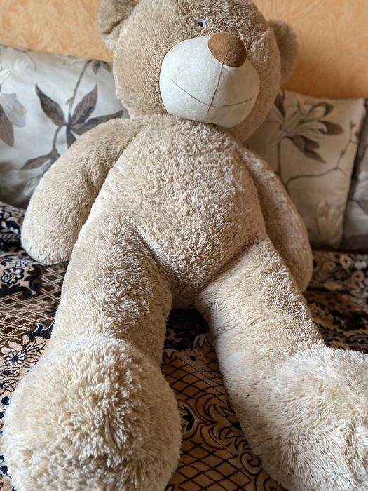 Плюшевий відмідь