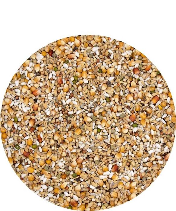VERSELE-LAGA Gerry Plus – Karma lotowa 20 kg + 2kg gratis