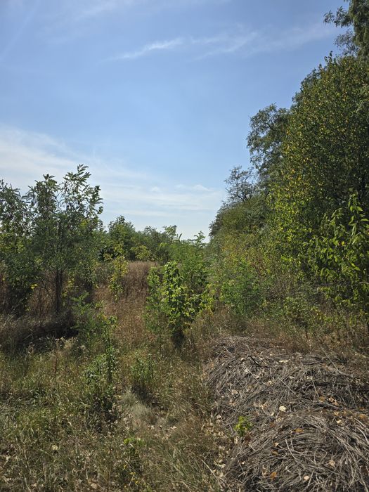 Продам земельну ділянку