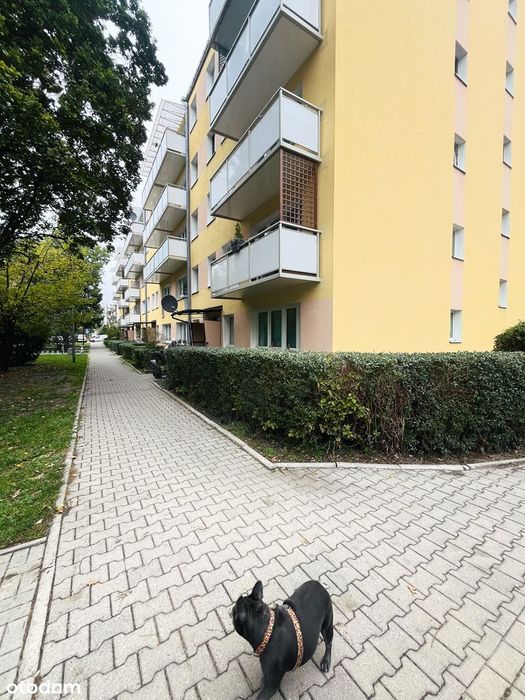 Mieszkanie – Piastów, Osiedle Warszawskie, powiat pruszkowski - Widok 4
