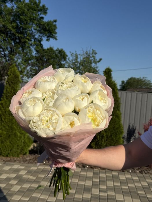 Продам півонії білого кольору  Duchesse de Nemours Дюшес