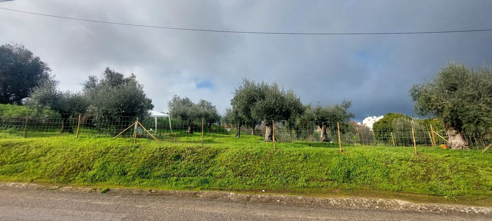 Excelente terreno para  construção. Ótima  localização